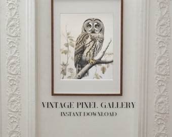 Owl Digital Wall Art digital wall decor barred owl digital print autumn halloween art print spooky season art decor