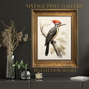 Bird Lover gift Pileated Woodpecker Digital Wall Art digital wall decor nature vintage lithograph digital print bird art