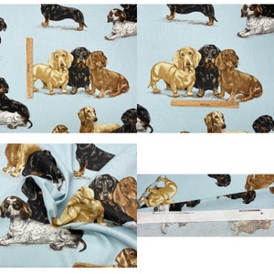 Tissu exclusif Kravet Kingsley bleu céleste pour chiens teckel 53,5 w image 4