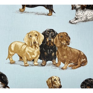 Tissu exclusif Kravet Kingsley bleu céleste pour chiens teckel 53,5 w image 3