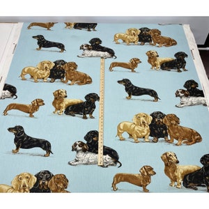 Tissu exclusif Kravet Kingsley bleu céleste pour chiens teckel 53,5 w image 2