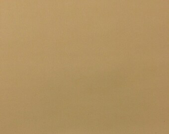 Izit Leather Cornsilk Beige Fr Faux Leather Rv Auto Yacht Fabric cut to size 54w