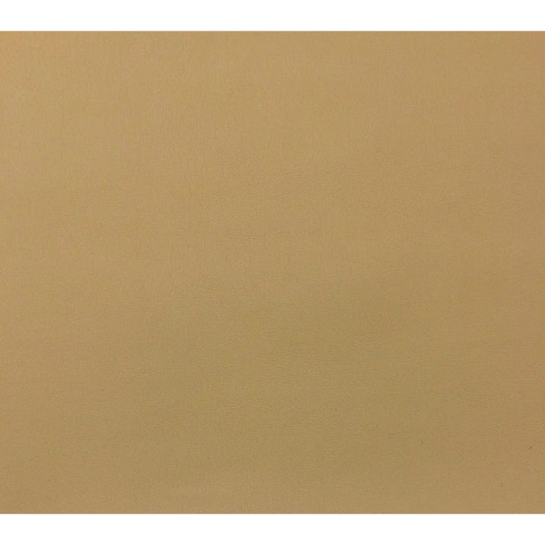 Tessuto in pelle sintetica Izit Cornsilk Beige Fr per camper, auto e yacht, tagliato su misura 54w immagine 1