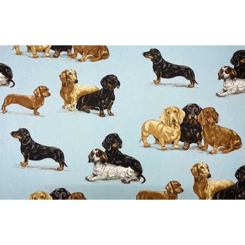 Tissu exclusif Kravet Kingsley bleu céleste pour chiens teckel 53,5 w image 1