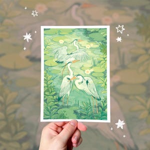 Peut inclure: Une impression d'art rectangulaire présentant une illustration détaillée de trois hérons gris debout dans un étang rempli de nénuphars verts et de petites fleurs blanches. Les oiseaux ont de longs cous, des becs orange et des plumes gris clair, représentés dans un style pictural doux avec des coups de pinceau visibles.