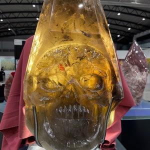 Citrine Quartz Crystal Rare Skull Sculture Extra Museum Top Quality Giant - 36 kilos = 80 lbs Collection - Natural Stones And Decor