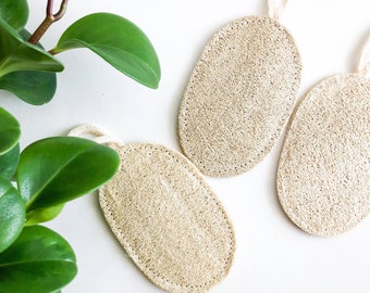 Éponge de luffa naturelle biologique – Sans plastique | Respectueux de l'environnement | Éponge de cuisine biodégradable - Lot de 3