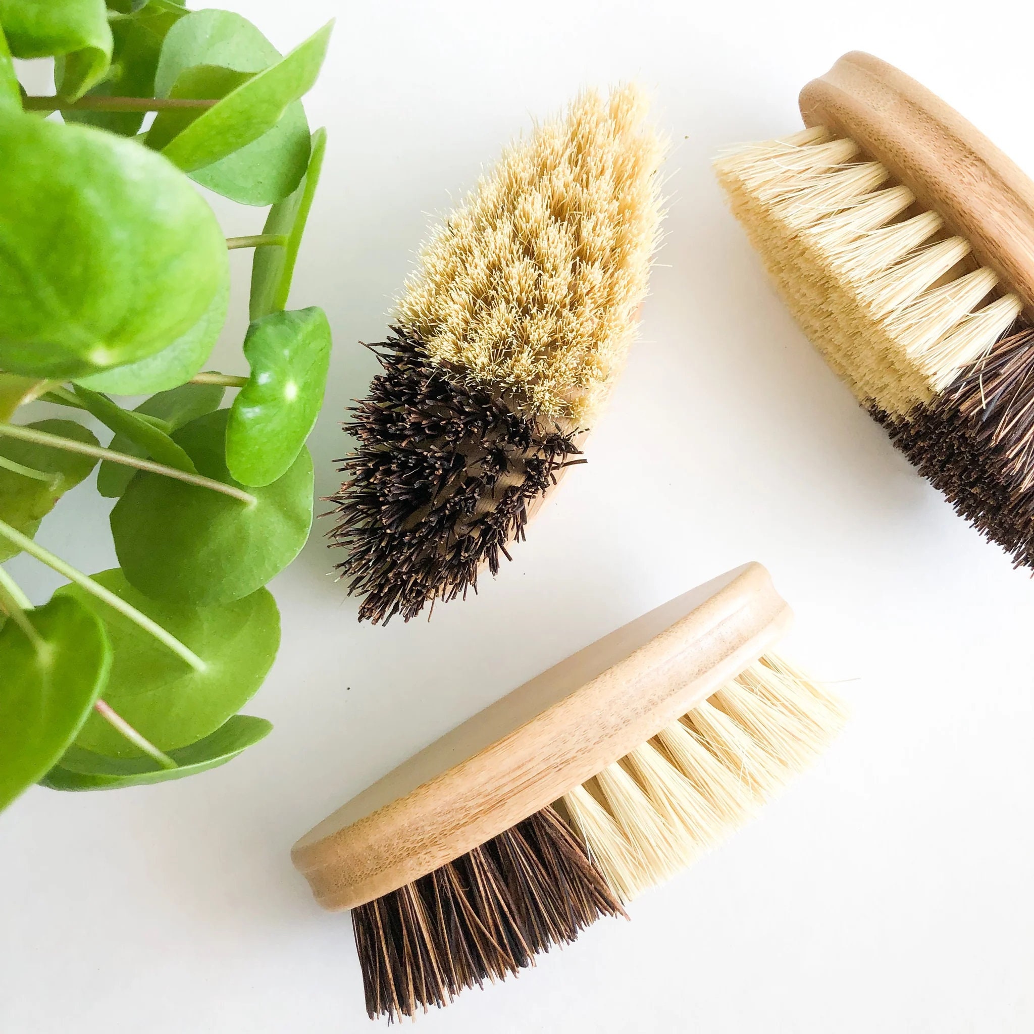 Vegetable Brush with Wood Handle and Natural Bristles