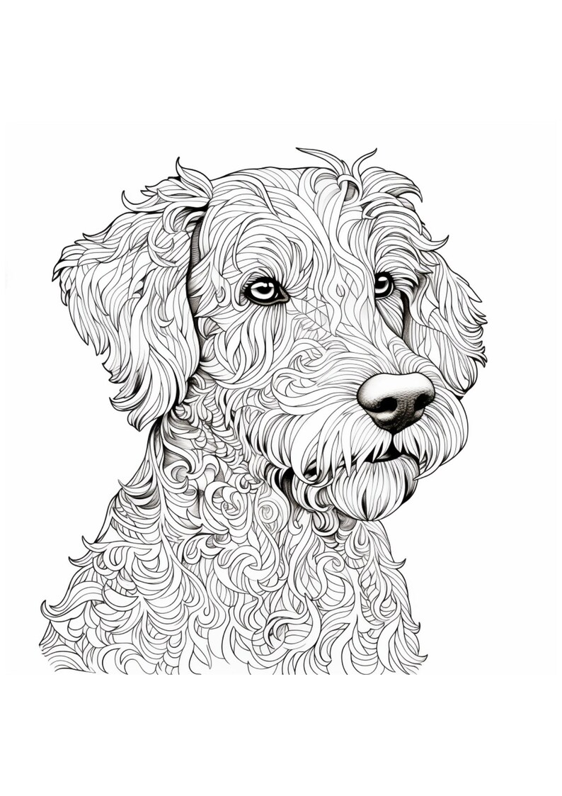 Adult Printable Colouring Sheets Mandala Dogs - INSTANT DOWNLOAD - Etsy ...