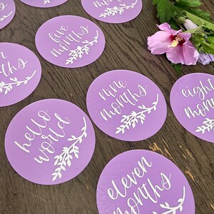 Personalized Baby Monthly Milestone Discs
