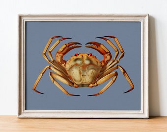 Red deep-sea crab (Chaceon quinquedens) - Remastered colourful bold vintage natural history illustration | Printable digital download