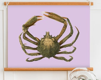 Spider crab (Libinia canaliculata) - Remastered colourful bold vintage natural history illustration | Wall Art | Printable digital download