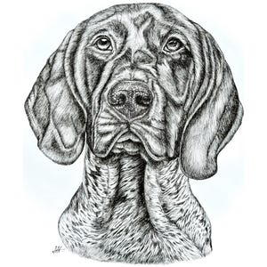 Hand-Drawn Pet Portrait: Custom Ink Drawing from Photo