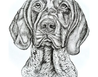 Hand-Drawn Pet Portrait: Custom Ink Drawing from Photo