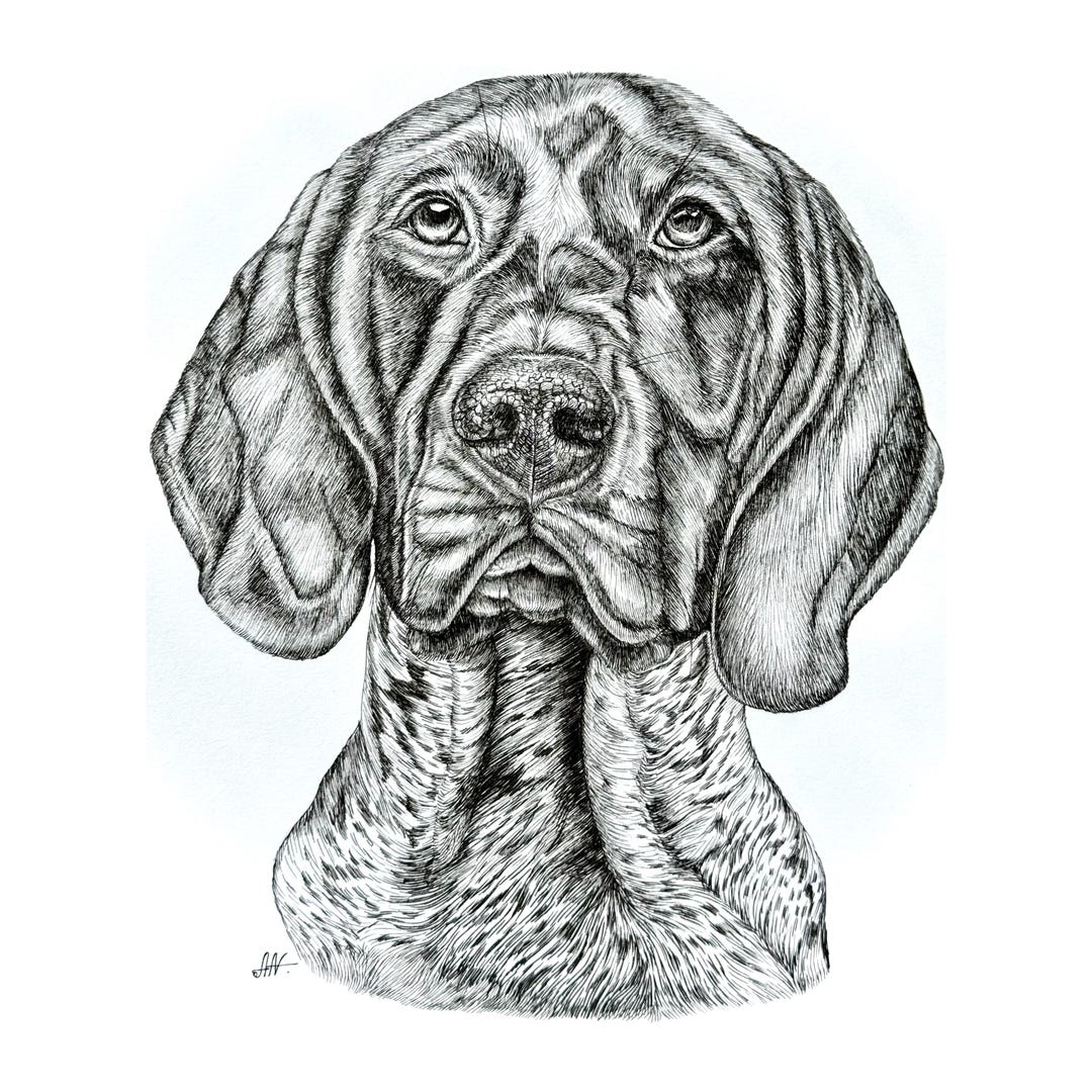 Hand-Drawn Pet Portrait: Custom Ink Drawing from Photo