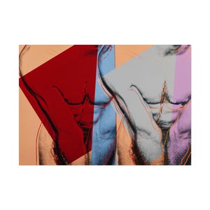 May include: Abstract art print featuring a male torso with overlaid geometric shapes. The artwork uses a palette of red, blue, gray, and peach tones, with orange outline details. The print has a pop art style.