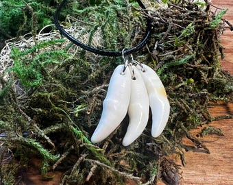 Coyote Tooth Necklace