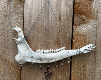 Serpentine + Bone Wall Hanging | Deer Jaw Bone Hanger