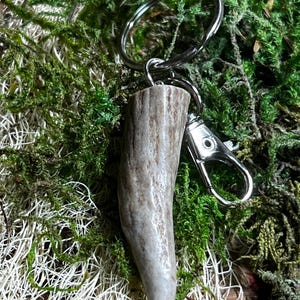 Puede incluir: Un llavero de asta de ciervo marrón claro con un anillo de metal plateado y un cierre de metal plateado. El llavero está sobre un lecho de musgo verde.