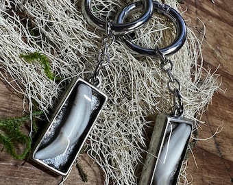 Rectangle Coyote Canine Tooth Ear Weights | Stetched Lobe Earring | Bone + Tooth Jewelry