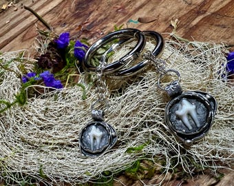 Round Coyote Tooth Ear Weights | Stetched Lobe Earring | Bone + Tooth Jewelry