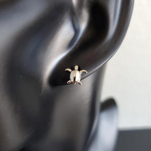 May include: Silver turtle stud earrings on a black mannequin head.