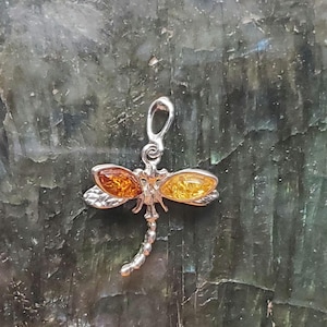 Dragonfly Amber Pendant w Box Chain/ Dainty Amber Pendant Necklace/Baltic Amber Pendant/Sterling Silver Pendant/Gift/P7