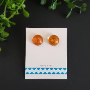 May include: Two amber-coloured stud earrings on a white card with a blue and white geometric border. The card reads "Sterling Silver". The background is black with green foliage in the upper left corner.