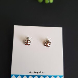 May include: A pair of sterling silver ladybird stud earrings on a white card with a blue and white geometric border. The card reads "Sterling Silver". The earrings are small, detailed, and have red and silver accents.