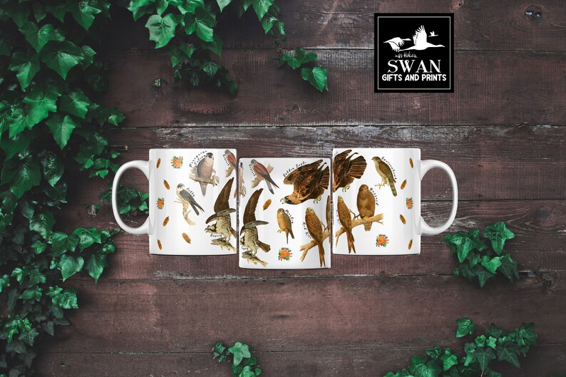 (All 3 sides of mug) A white ceramic mug featuring labelled vintage art of carnivorous birds of prey. These include a hobby, peregrine falcon, osprey, 
kestrel, merlin, golden eagle, red kite, buzzard and sparrowhawk. Water colour feathers and flowers are arranged around the birds.