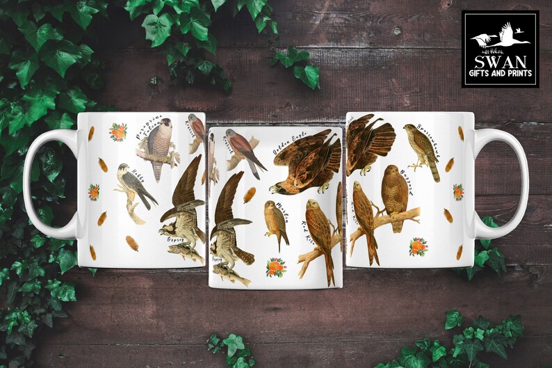 (All 3 sides of mug) A white ceramic mug featuring labelled vintage art of carnivorous birds of prey. These include a hobby, peregrine falcon, osprey, 
kestrel, merlin, golden eagle, red kite, buzzard and sparrowhawk. Water colour feathers and flowers are arranged around the birds.