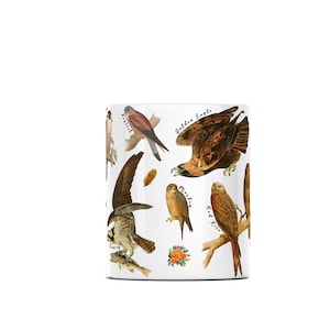 (Center of mug) A white ceramic mug featuring labelled vintage art of carnivorous birds of prey. These include a hobby, peregrine falcon, osprey, 
kestrel, merlin, golden eagle, red kite, buzzard and sparrowhawk. Water colour feathers and flowers are arranged around the birds.