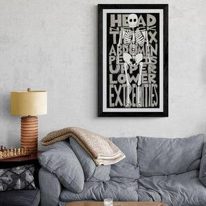 Anatomy Skeleton