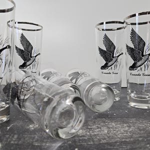 Federal Glass Sportsman 14 oz Canada Goose Flat Tumbler, Vintage Barware Platinum Rim Set of 8