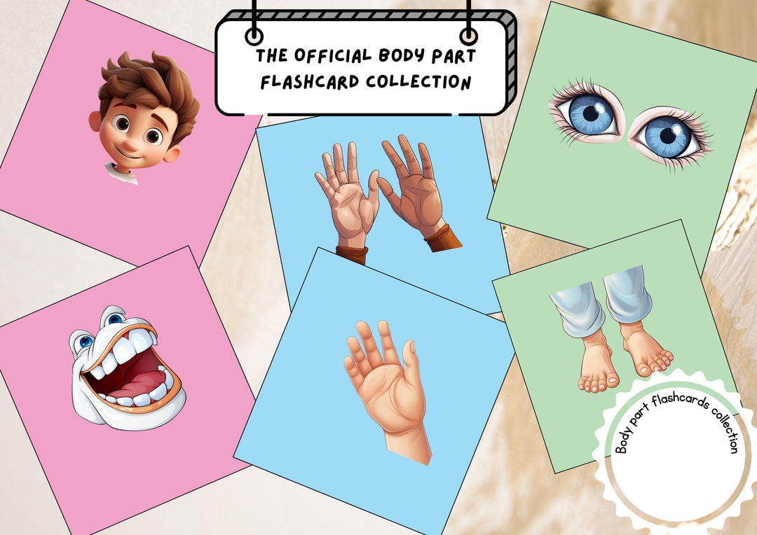 Learn and Play Body Parts Identification Flashcards for Kids Etsy