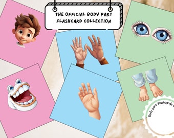 Learn and Play: Body Parts Identification Flashcards for Kids 3-7| Educational Toddler Toy| Interactive Early Learning Tool | Child-Friendly