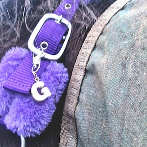 Fully Custom Resin Letter and Number Horse Bridle/saddle Charms - Equestrian Gift for Horse Lovers