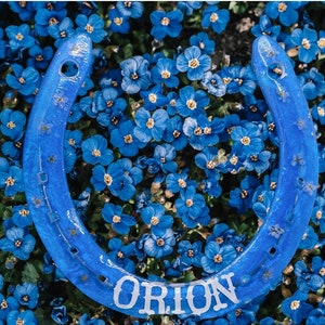 Personalized Resin Horse Shoe Keepsake for Equestrian | Wedding Gift with Customization Options