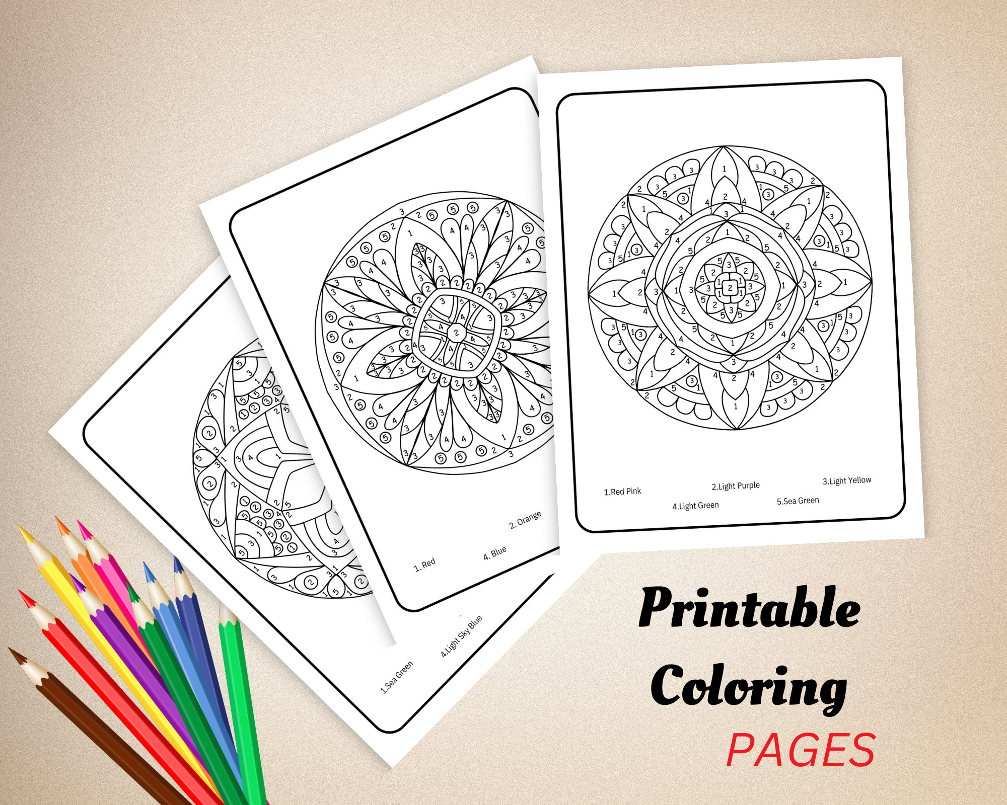 Mandala Color Pages Color by Number Activity Book Digital - Etsy
