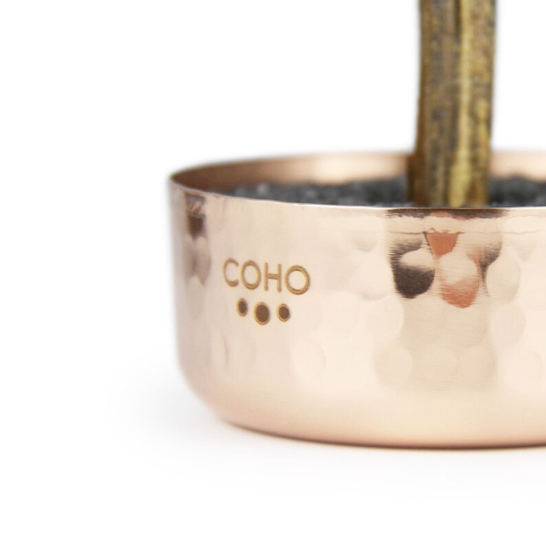 May include: A hammered copper planter with a black base and the word "COHO" engraved on the side.