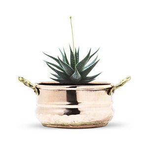 Coho Artisan Copper Planter & Flower Pot