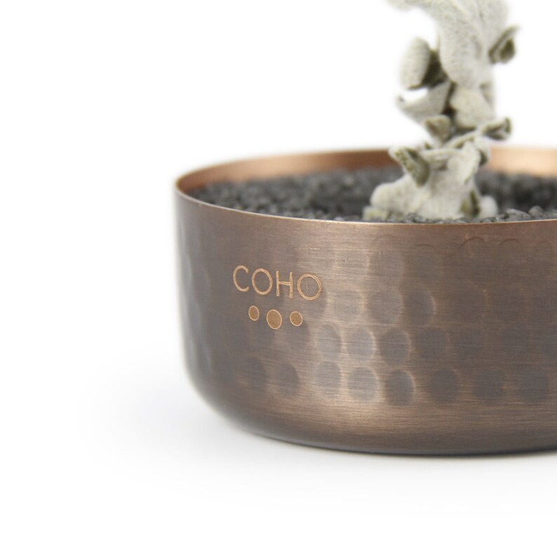 May include: A hammered copper planter with a black and white plant inside. The planter has the word "COHO" embossed on the side.