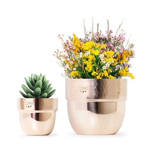 May include: Two copper-colored metal planters, one small and one large, with a hammered texture. The smaller planter holds a green succulent, while the larger one is filled with a vibrant mix of yellow, pink, and white flowers. The word "COHO" is printed on the front of each planter.