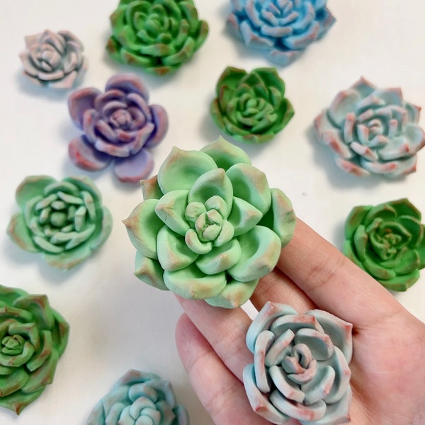 Succulent Cupcake Toppers Fondant Cake decoration | Edible Cake Toppers | Cactus Succulent Cake Decoration | Wedding cupcake toppers