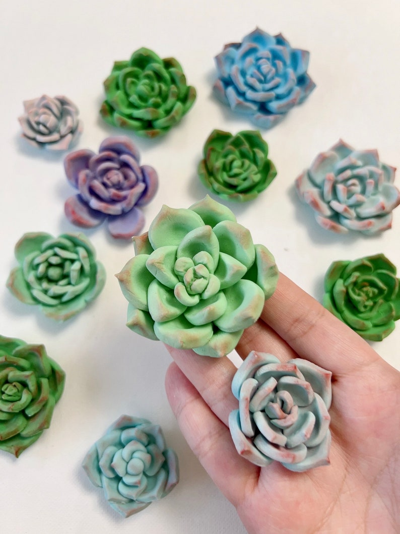 Succulent Cupcake Toppers Fondant Cake Decoration Edible Etsy
