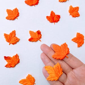 May include: Orange maple leaf decorations scattered on a white surface. The leaves are in various positions, with one held in a hand. The leaves have detailed veining and a gradient of orange hues, perfect for fall-themed crafts.
