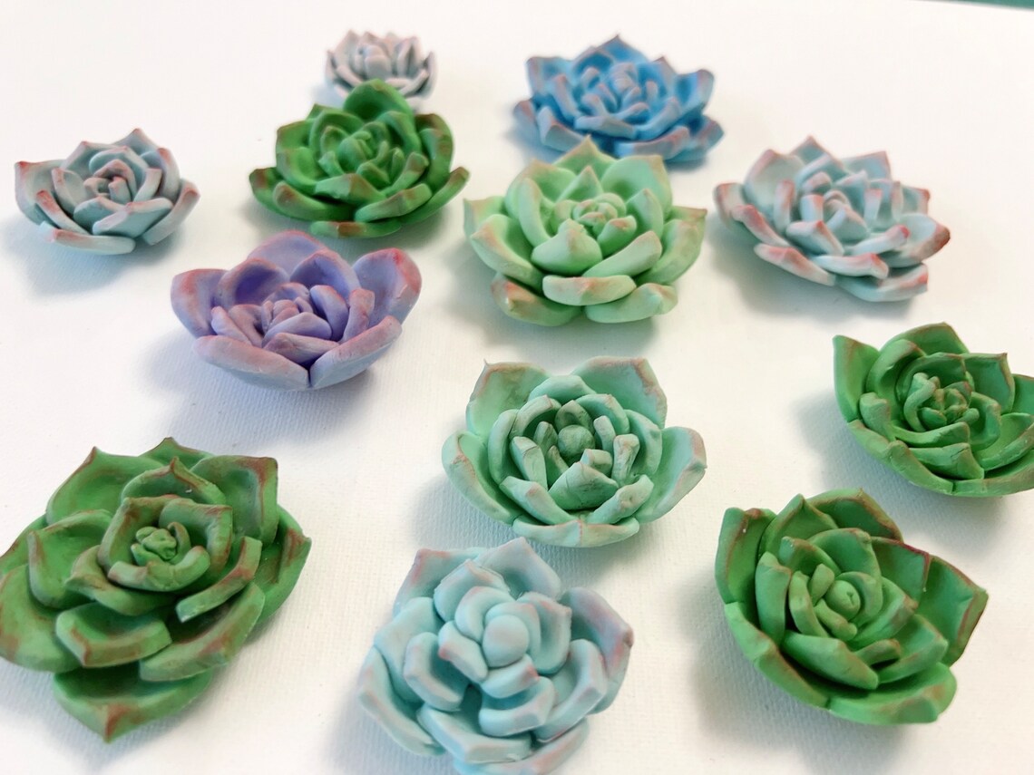 Succulent Cupcake Toppers Fondant Cake Decoration Edible Etsy