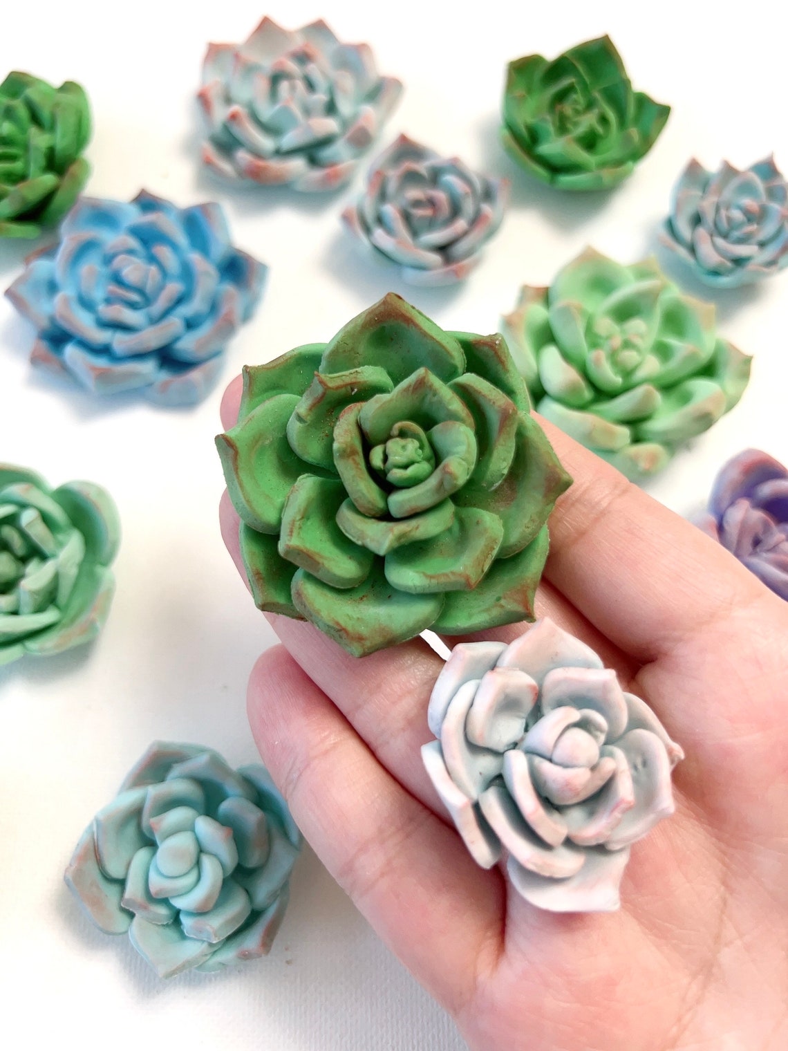 Succulent Cupcake Toppers Fondant Cake Decoration Edible Etsy