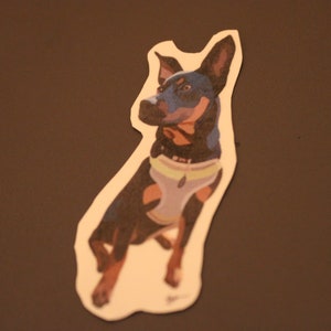 Custom Pet Stickers