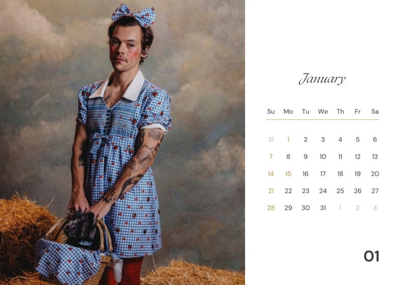 Calendario Harry Styles 2024 / Calendario Harry Styles Outifts Etsy